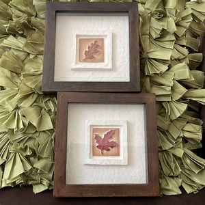 Set of two 3-D leaf prints in shadow-box frames